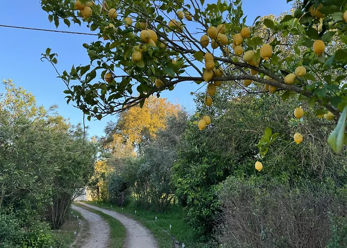 Quinta Do Faisco