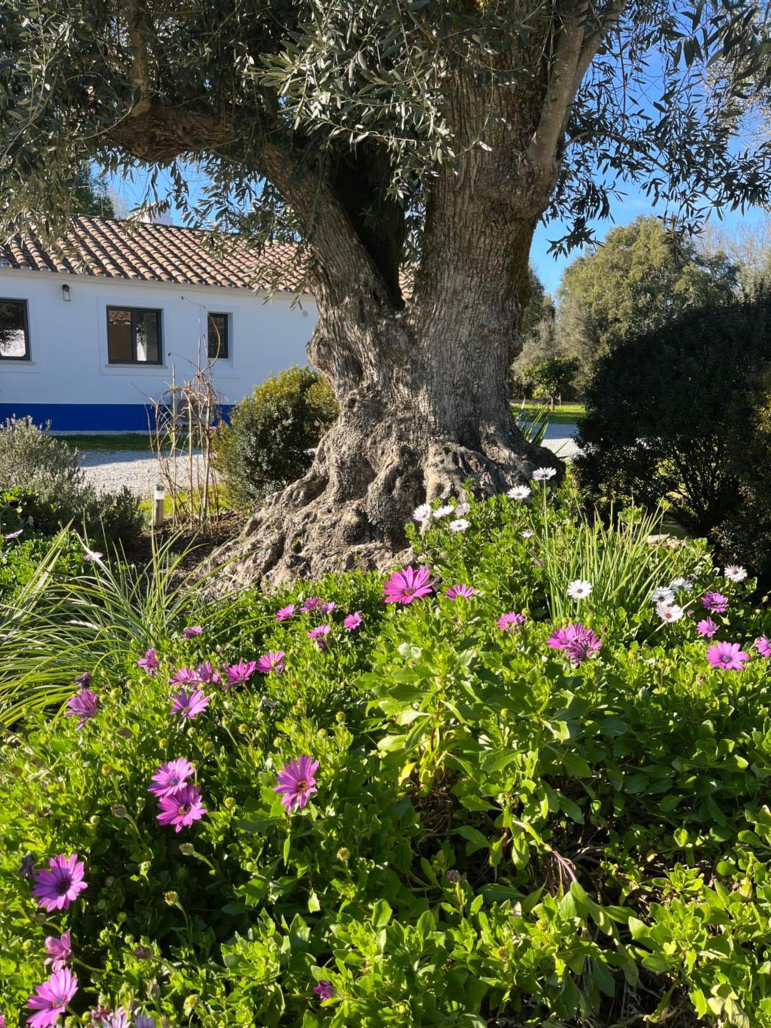 Quinta Do Faisco Holiday home Evora
